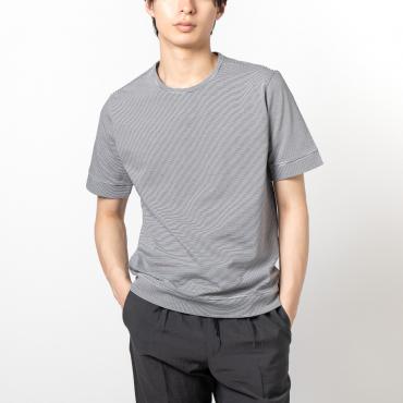 セットアップTシャツ マイクロボーダー ホワイト